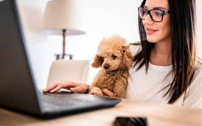 7 Tips for Working From Home With Pets