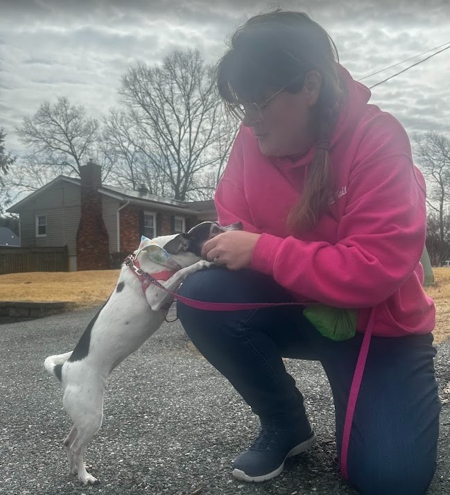 crofton dog walking